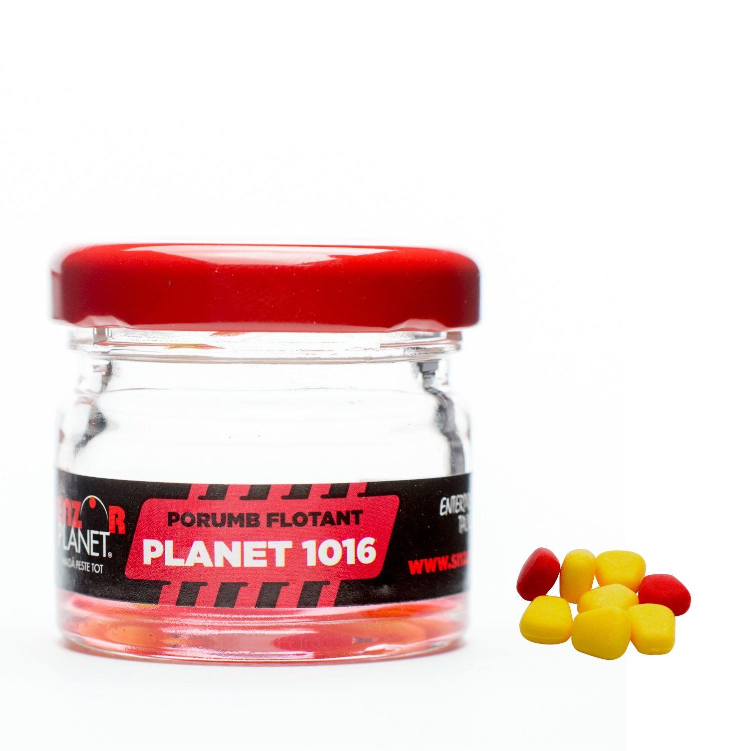 PORUMB ARTIFICIAL SENZOR PLANET 2017 - porumb-artificial-1016.jpg